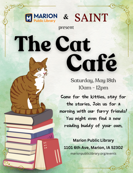 Image for event: Cat Caf&eacute;