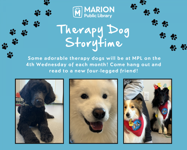 Image for event: Therapy Dog Storytime